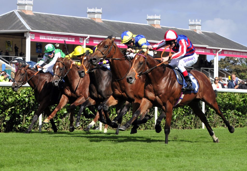 guide to betting on horses uk race